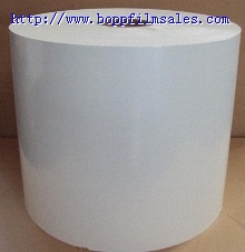 BOPA/BOPET 预涂膜