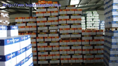 办公用全木桨复印纸